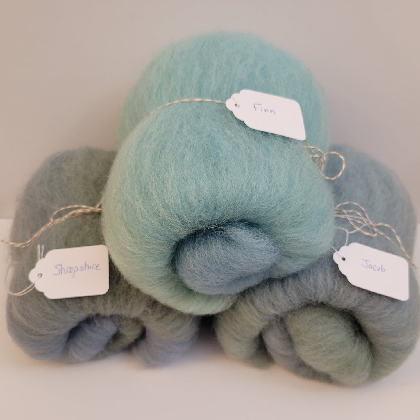 C19 - Breed Comparison Pack: Finn, Jacob & Shropshire (Mini Batts)