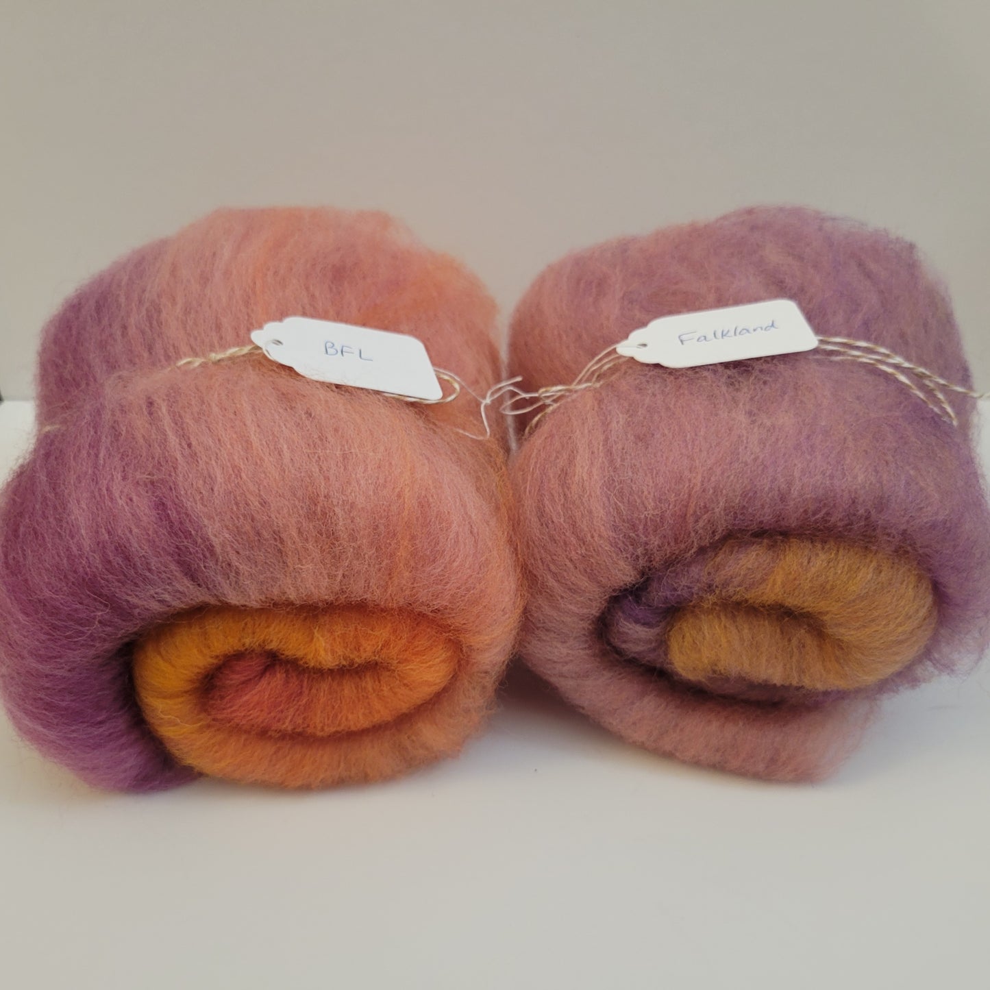 C21 - Breed Comparison Pack: Falkland & BFL (Mini Batts)