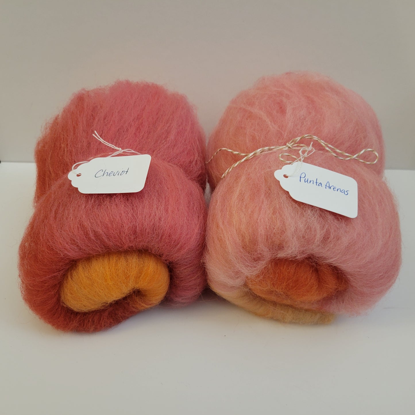 C22 - Breed Comparison Pack: Cheviot & Punta Arenas (Mini Batts)