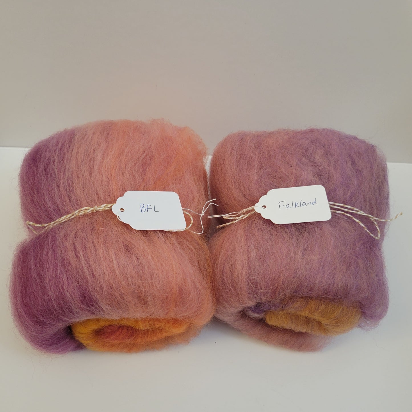 C21 - Breed Comparison Pack: Falkland & BFL (Mini Batts)