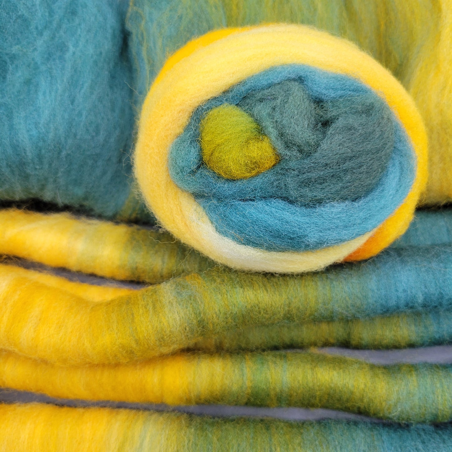 B31 - Montadale (2.15 oz) New Spinner Breed Pack