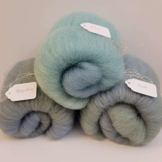 C19 - Breed Comparison Pack: Finn, Jacob & Shropshire (Mini Batts)