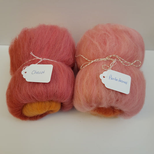 C22 - Breed Comparison Pack: Cheviot & Punta Arenas (Mini Batts)